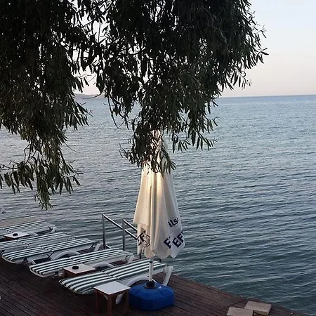 모텔 Palm Beach Club 울라