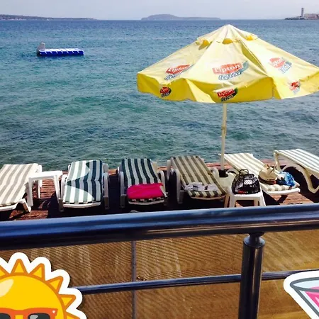 汽车旅馆 Palm Beach Club *