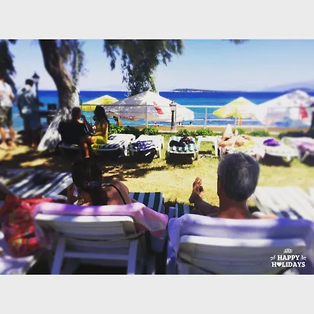 モーテル Palm Beach Club