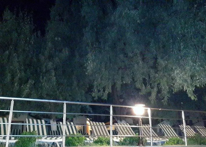 モーテル Palm Beach Club