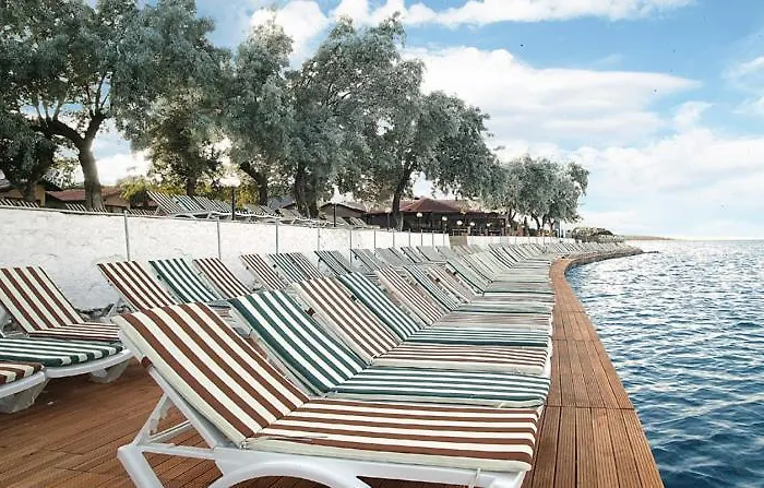 モーテル Palm Beach Club ウルラ