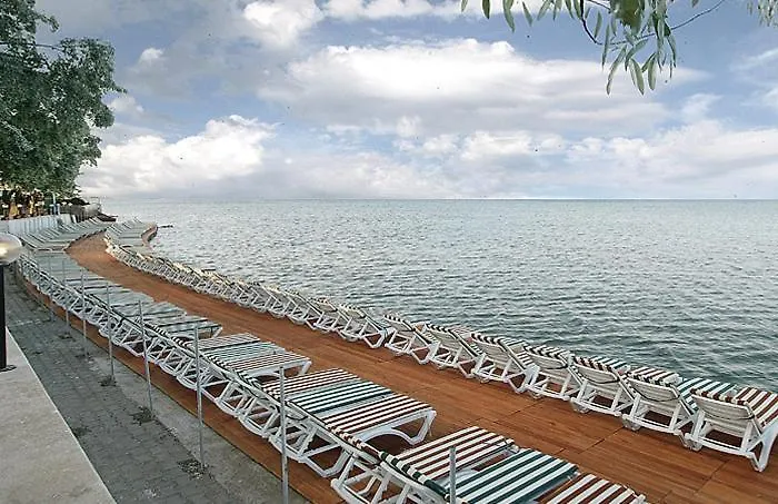 モーテル Palm Beach Club