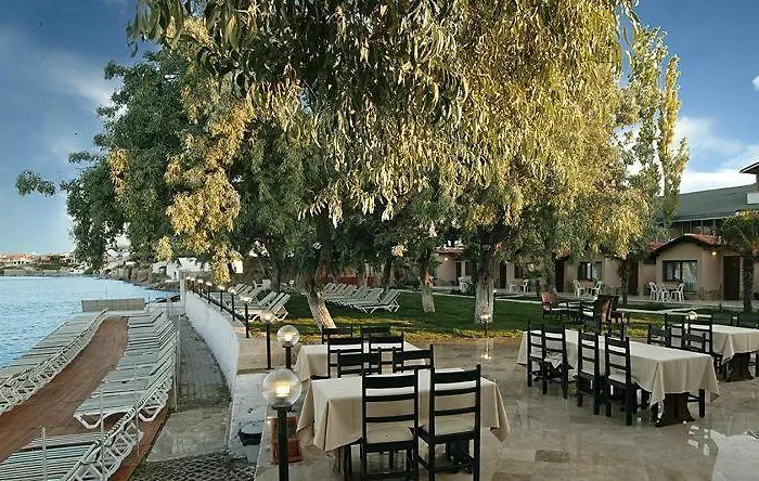 Palm Beach Club モーテル