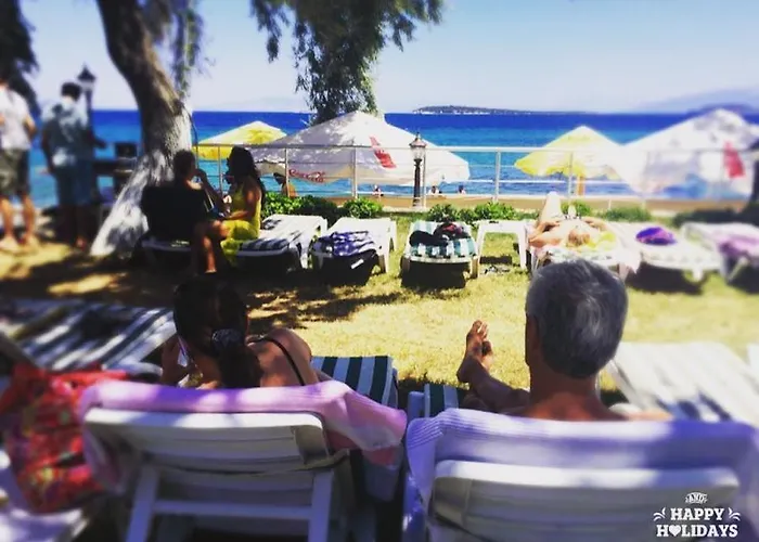 モーテル Palm Beach Club